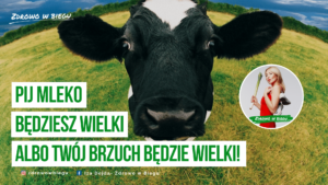 mleko krowa zdrowie